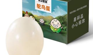 鸵鸟吃蛋蛋 鸵鸟吃蛋蛋